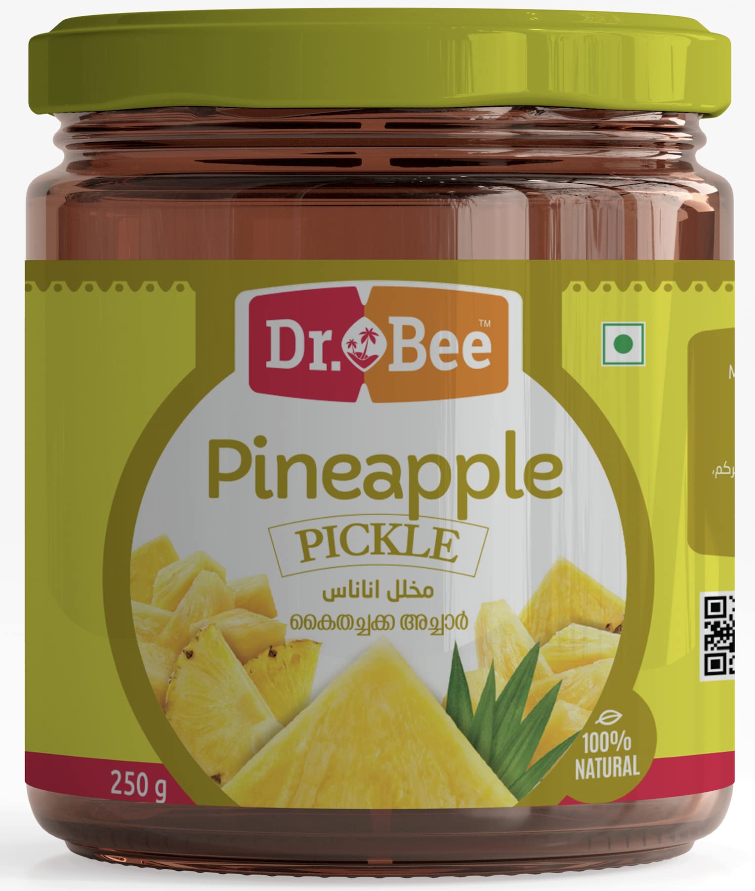 Dr.Bee Pineapple Pickle | 250 Grams | പൈനാപ്പിൾ അച്ചാർ | अनानास अचार (B0B6777N3B) Amazon Price History, Amazon Price Tracker
