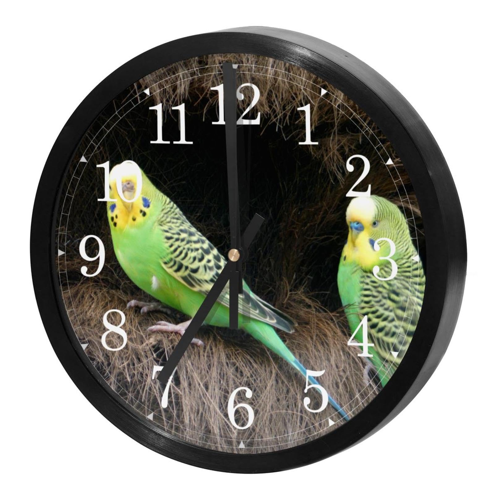 VAPOKF Wall Clock Silent Non Ticking Quartz Battery Operated Round Wall Clocks Home/Kitchen/Office/School Clock, Melopsittacus Budgerigar Budgies