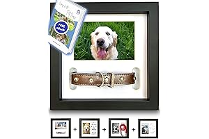Honor Your Beloved Pet: Dog Collar Picture Frame Immortalizing Precious Moments