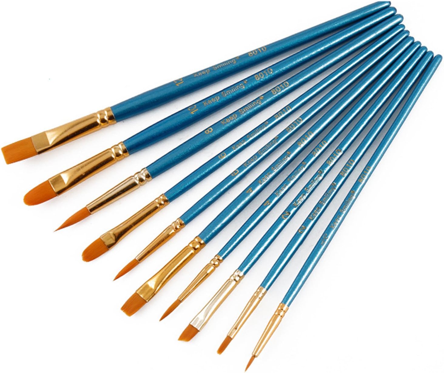 Paint Brush Set 10pcs Professional Paint Brushes Artist for