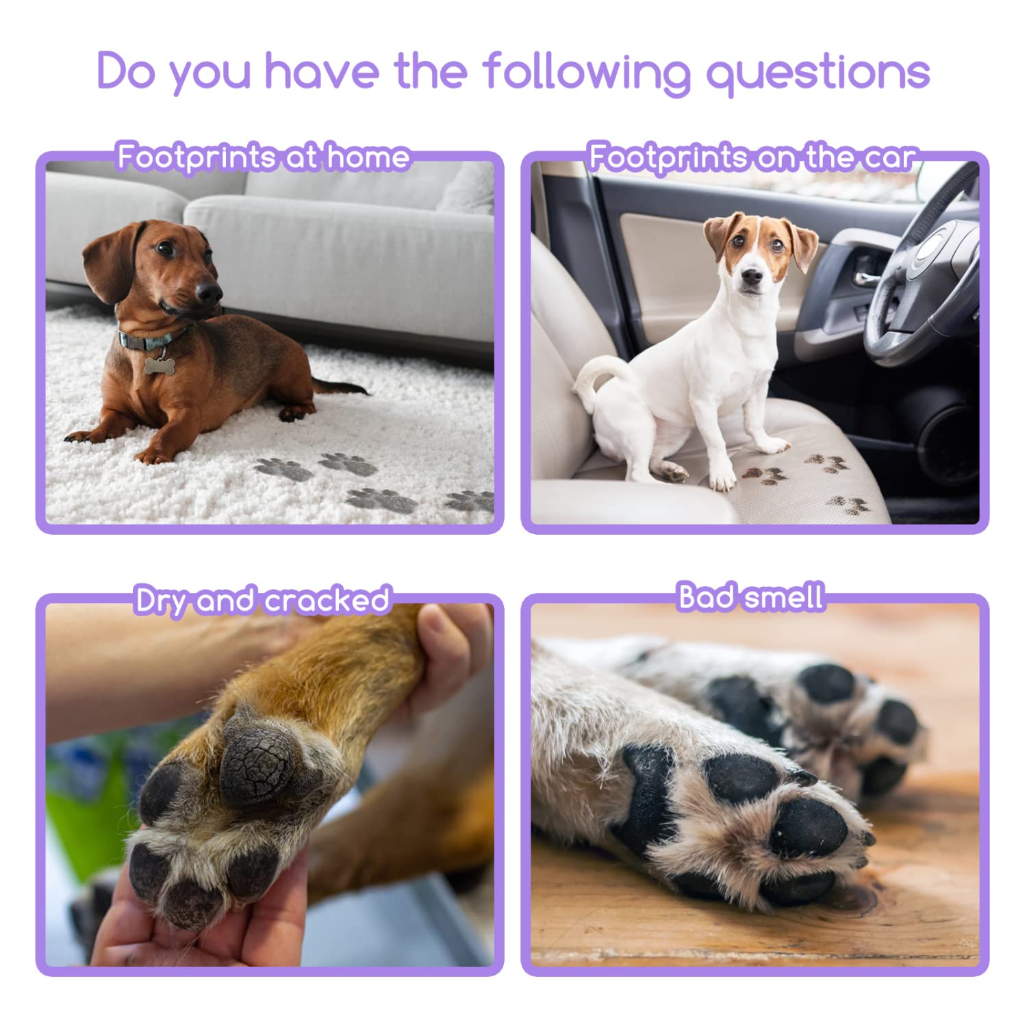 Nobleza Shampoo a Secco per Cani e Gatti e Coniglio,Dopo Aver portato a spasso Il Cane, Prima di Andare a Letto,Ipoallergenico Shampoo per Cuccioli di Gattino con Profumo di Lavanda(250ml