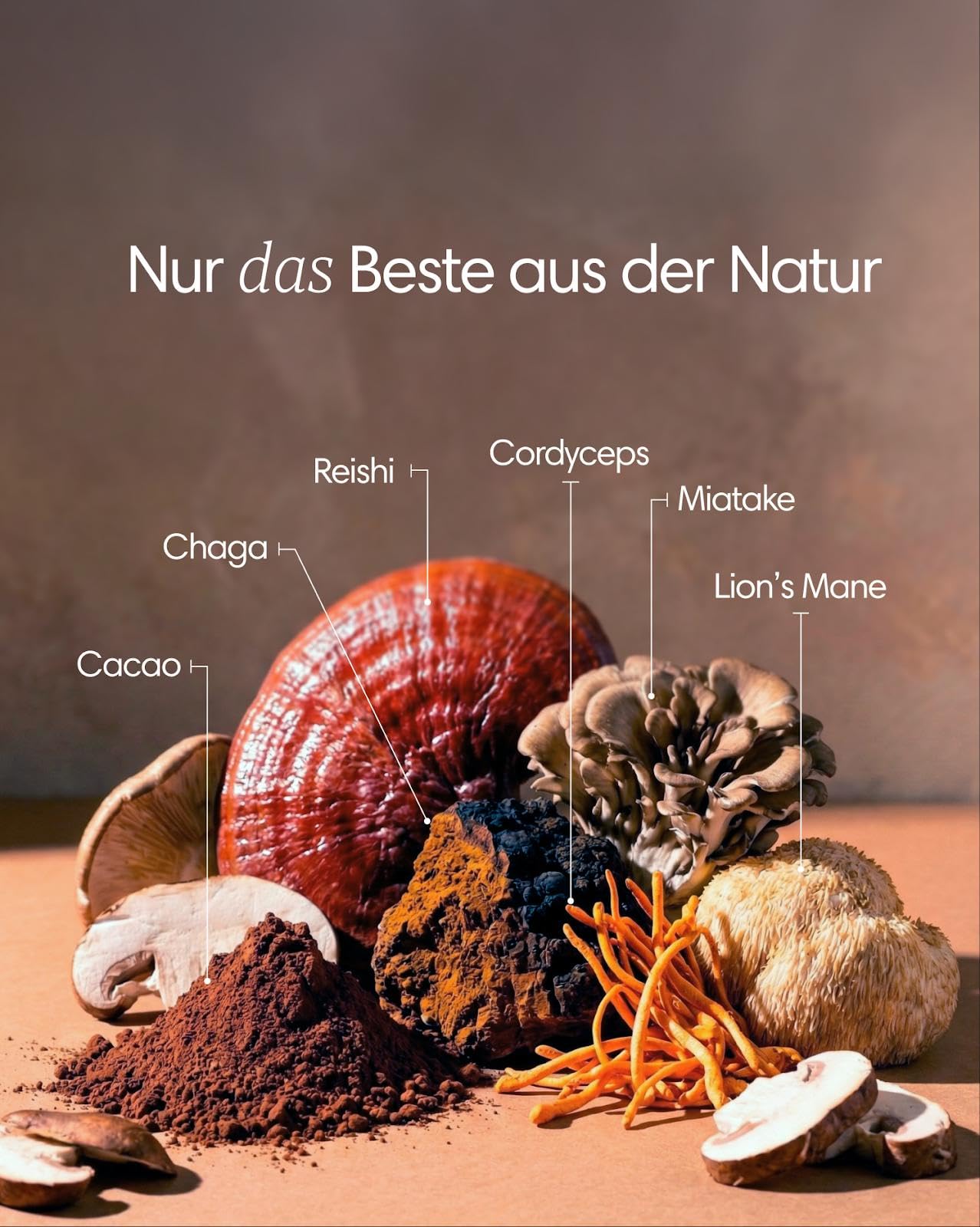 Clearly Not Coffee – Ungesüßtes Pilzgetränk mit Kakao, Chaga, Reishi, Lion's Mane & Cordyceps – Kaffee­freie Kakao-Alternative, Vegan & Zuckerfrei – 255 g