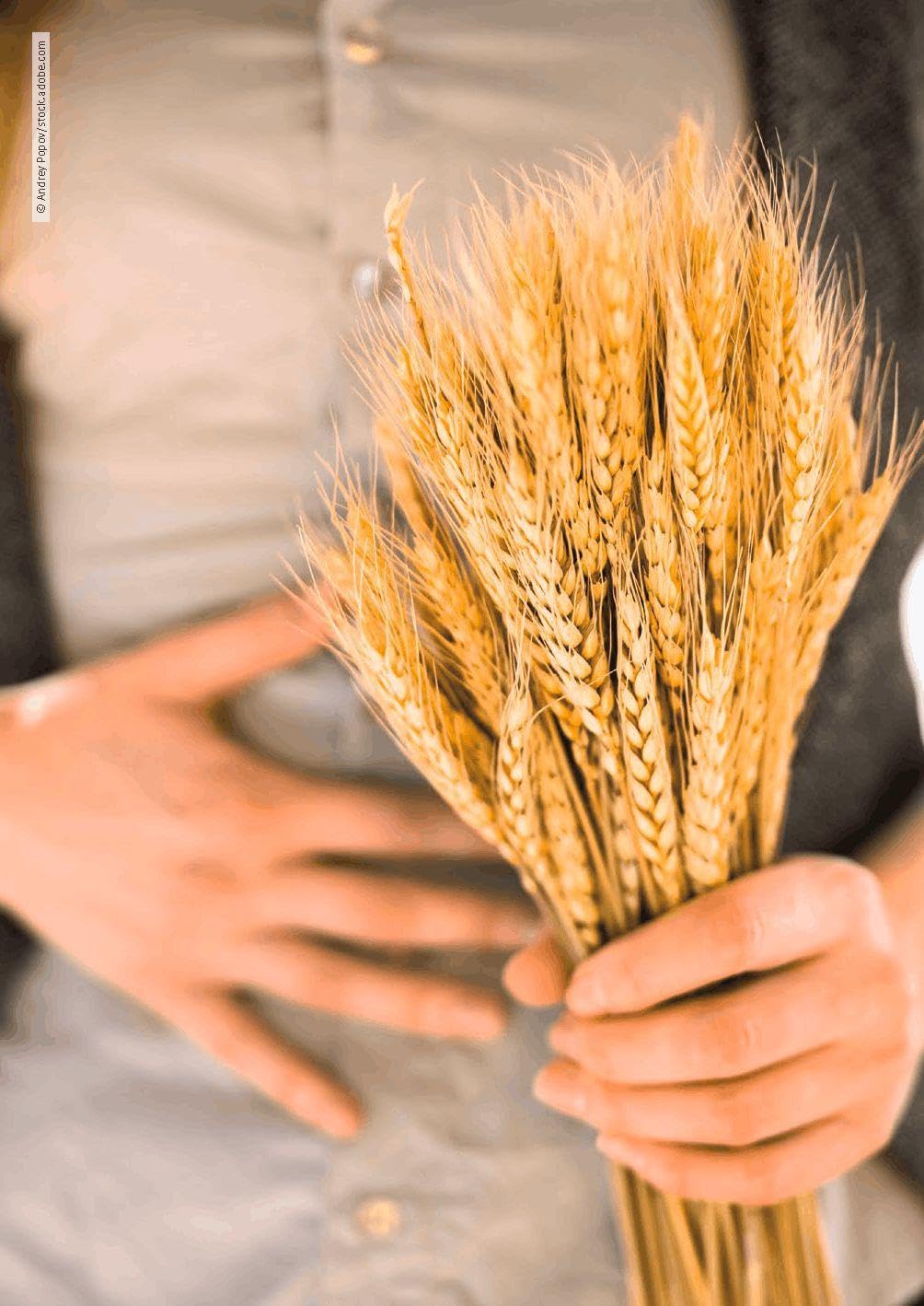 Zöliakie: Erkrankung verstehen, Gluten meiden, Ernährung anpassen, Therapiemöglichkeiten