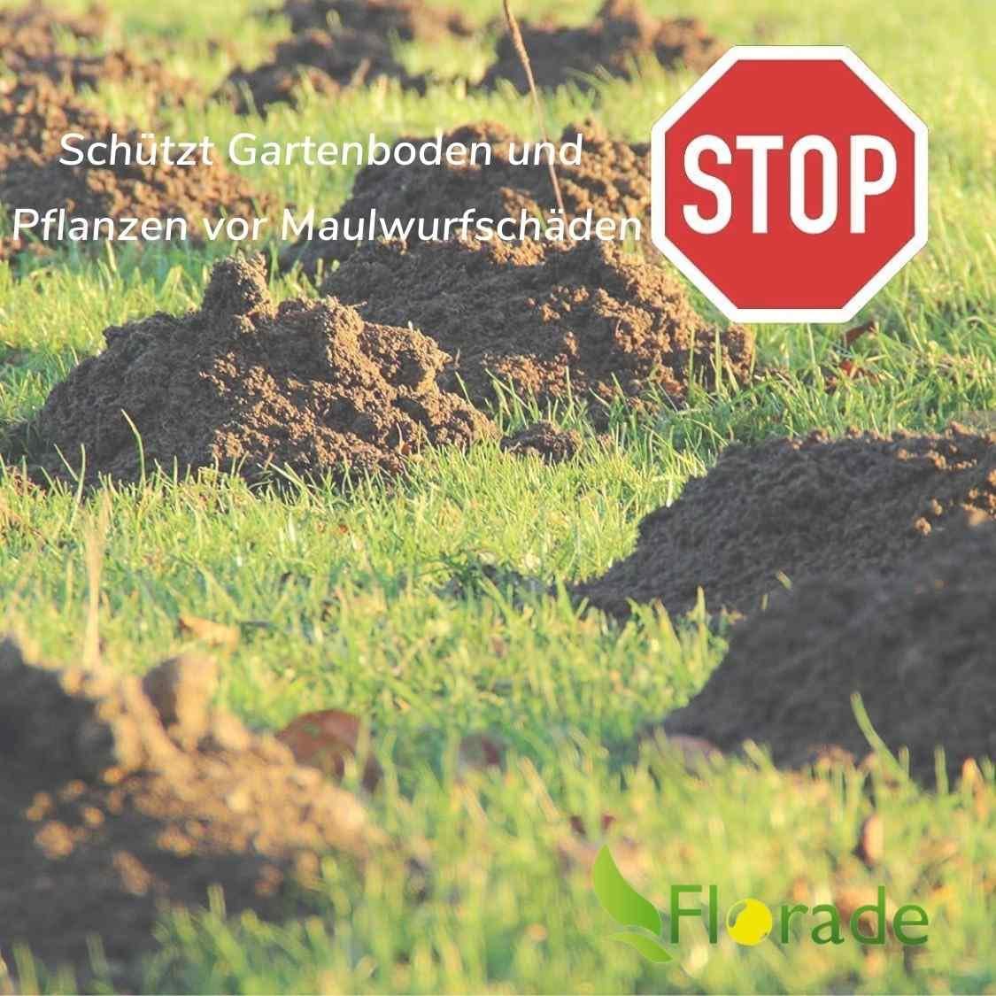 Florade® Maulwurfnetz | Tierfreundlich | Maulwurfshügel verhindern | UV-beständig, robust, langlebig | Effektiver Maulwurfschutz | Dunkelgrün | 80g/m²