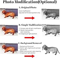 Vista 3 de ODB Piedras conmemorativas personalizadas para mascotas, piedra conmemorativa de granito negro grabada con foto, regalos para alguien que perdió a