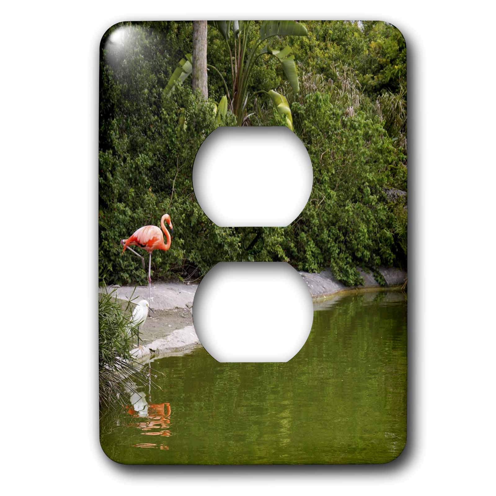 Flamingo 2 prise de courant cache-interrupteur multicolore 3dRose LSP 7439 6