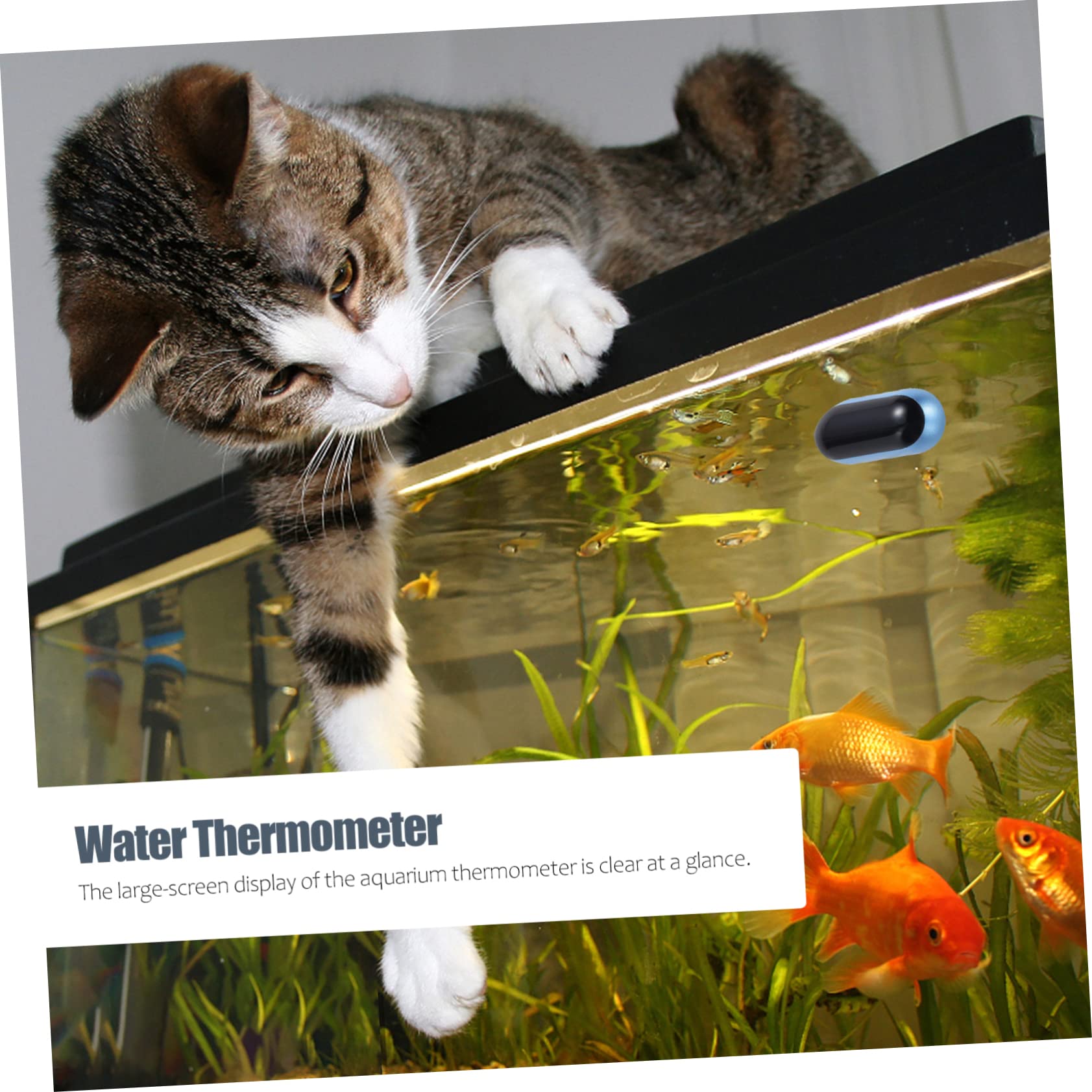 Happyyami Mini Fish Tank Thermometer High Precision Water Thermometer Display for Aquarium Easy to Read Durable