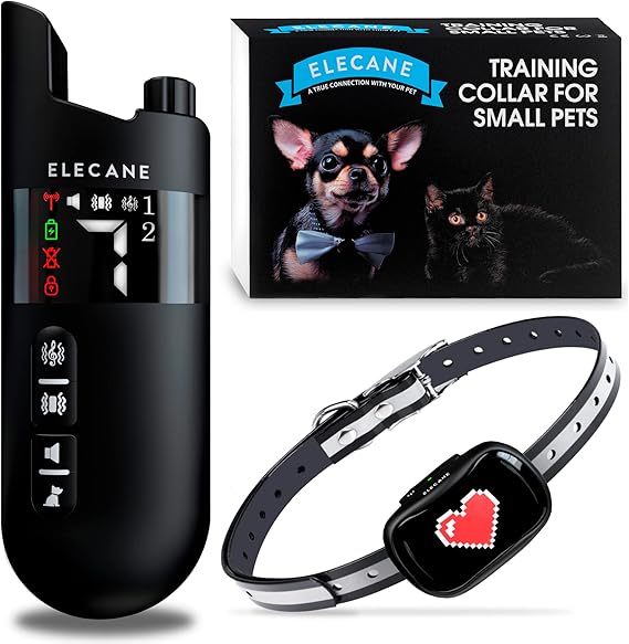 small dog shock collar amazon