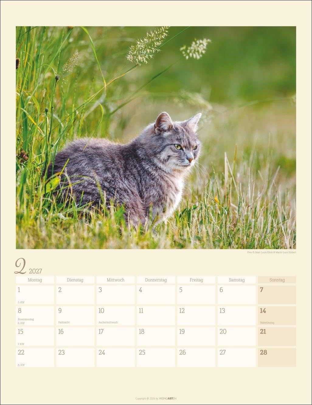 Katzen auf dem Lande Kalender 2027: Süße Kätzchen in ländlicher Idylle: Ein Foto-Kalender zum Dahinschmelzen. Planer mit Platz zum Eintragen. Hochformat 30 x 39 cm