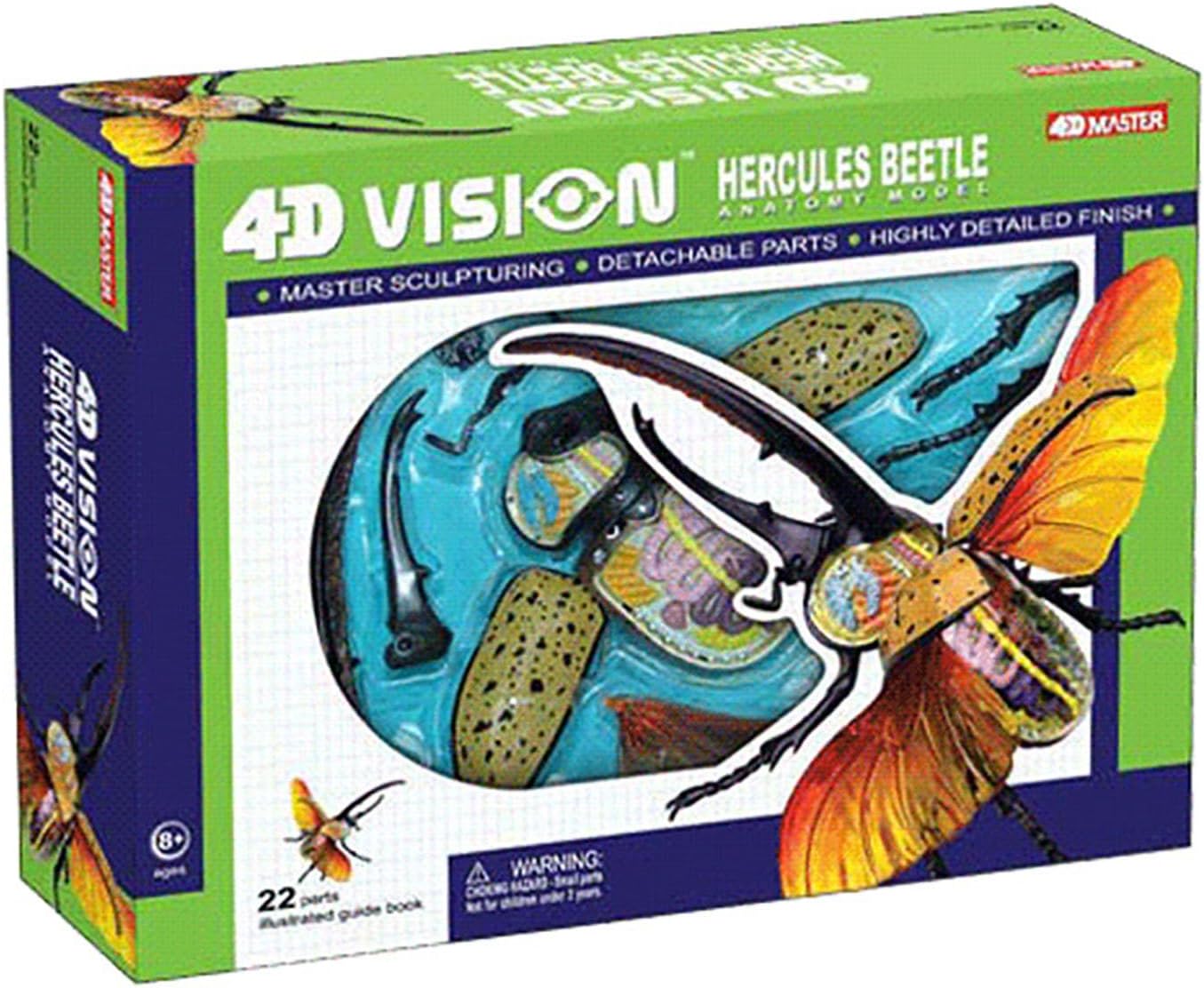 4D Beetle Anatomy Model, 22 Removerable Insect Anatomy Model Biology Teaching Models Insect Organ Model Puzzle Assembly Classroom Study for Teaching