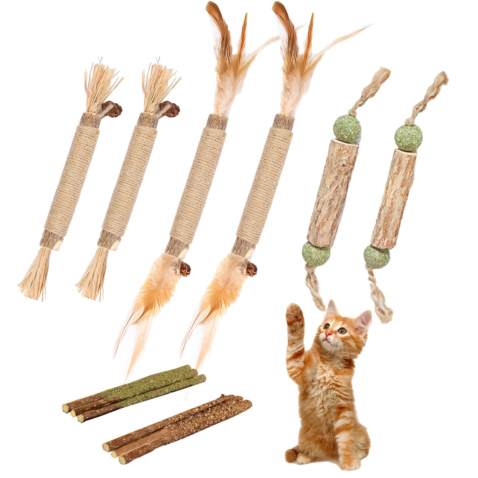GIAPINST Palitos de Hierba Gatera, Masticar Palos Gato, Palitos de Catnip para Gatos, Palitos Matatabi Gatos de Diferentes sabores, Juguete para Morder para Gatos, Cuidado Dental en Gatos(12Pcs)