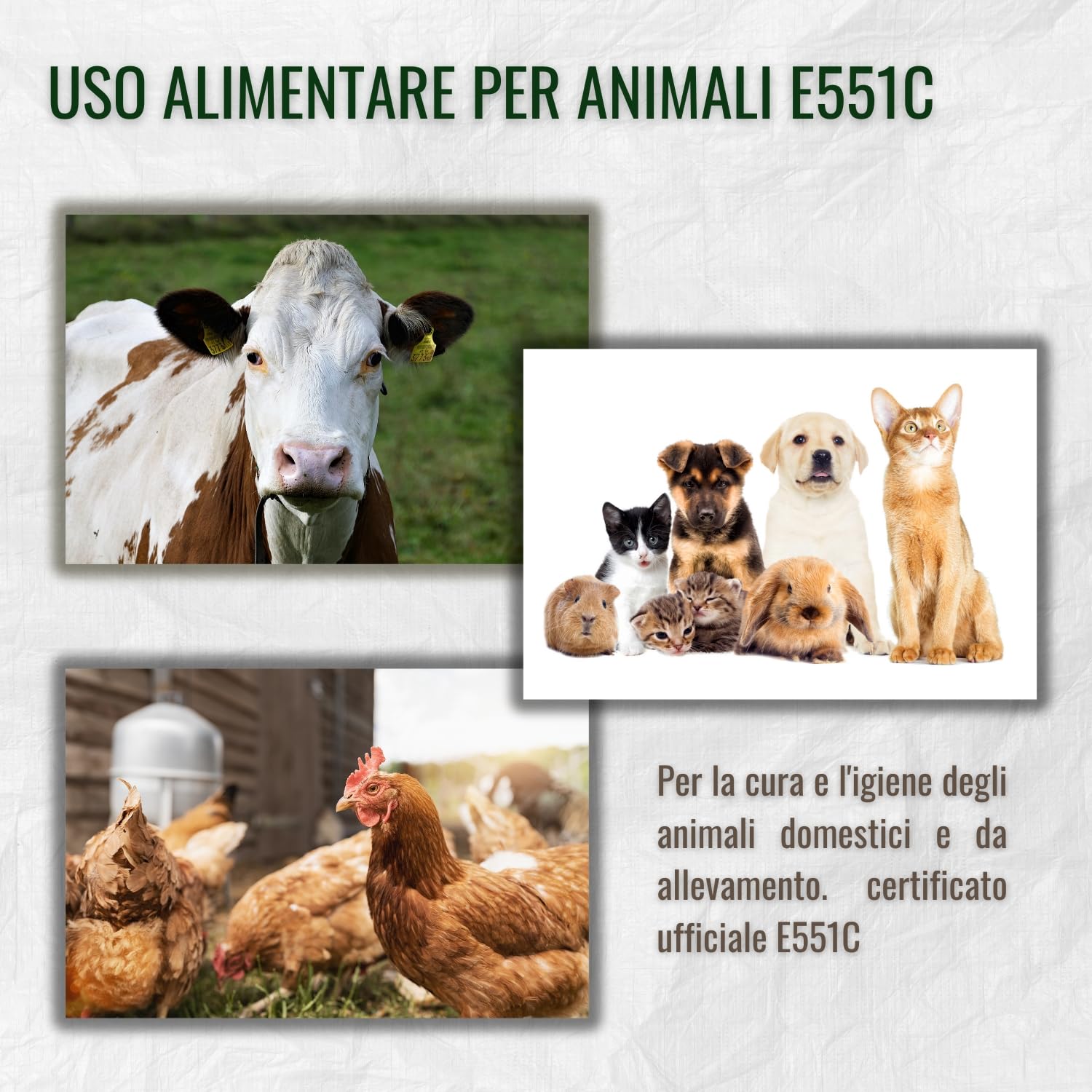 | AGROBULL | Terra di diatomee 1 KG, 2 KG, 5 KG Grado Alimentare, elevata Purezza e utilizzabile in Agricoltura Biologica (1 KG)