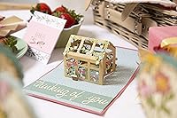 Vista 5 de Sizzix Sizzx Thinlits Juego de troqueles 19PK Pop-Up Garden de Lisa Jones 665957 Capítulo 3 2022, multicolor