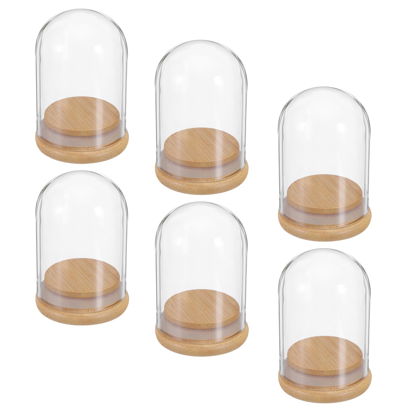 Lot de 6 cloches en verre 7x5 cm avec socle bois pour mini fleurs
