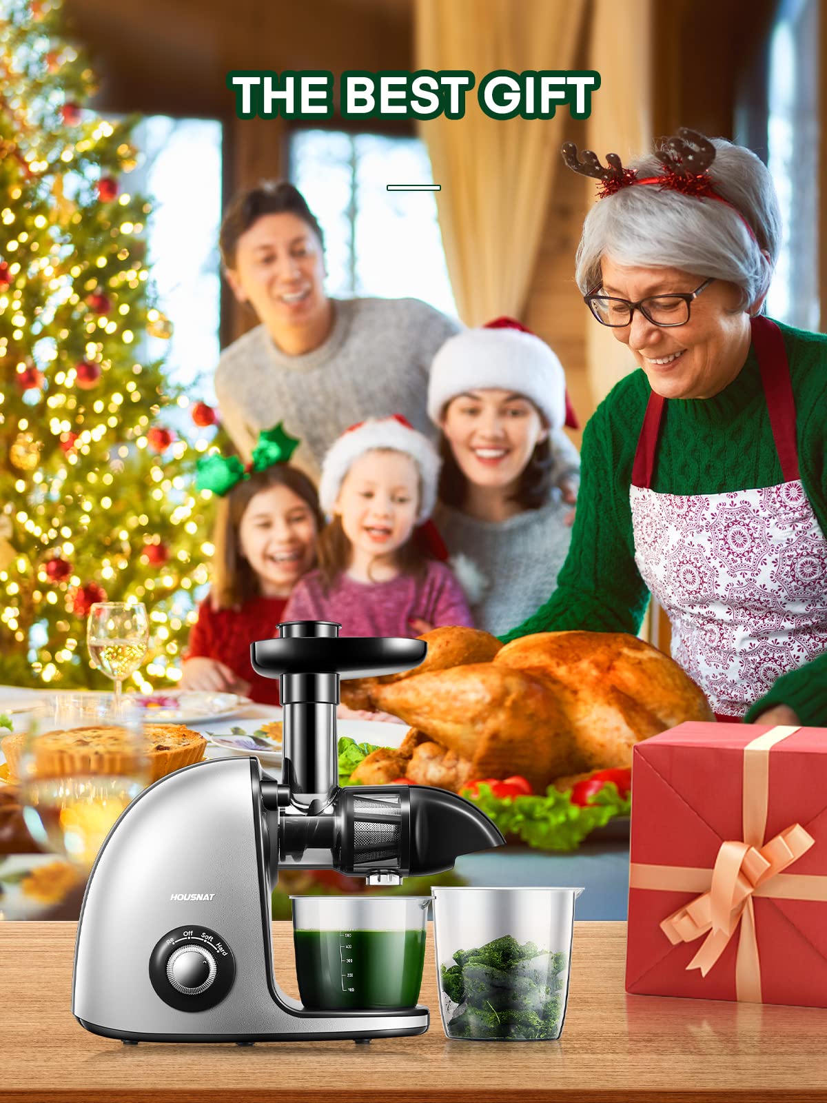 Licuadora Prensado en Frio, Housnat Licuadora para Verduras y Frutas, Extractor de Zumos con 2 Velocidades, Motor Silencioso y Función Inversa, Fácil de Limpiar con un Cepillo Extra ＆ Recetas