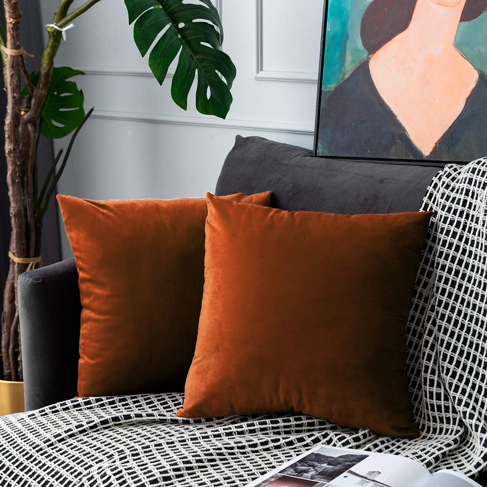 UPOPO Reddish Brown Velvet Square Throw Pillow Covers Soft Solid Decorative Oversize Pillowcase Set Cushion Case for Sofa Bench Car Living Room 2 Pcs