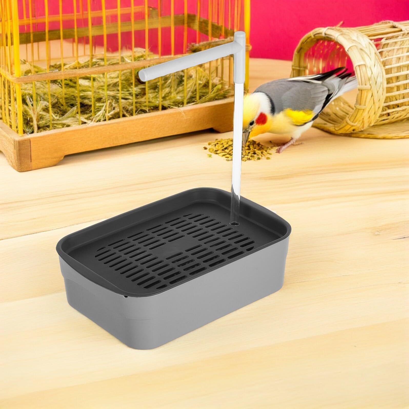 Vasca da Bagno Automatica per Uccelli con Doccia Automatica e Acqua Circolante Bagno per Gabbia di Pappagalli e Calopsitte Accessorio per Uccelli da Interno Adatta per
