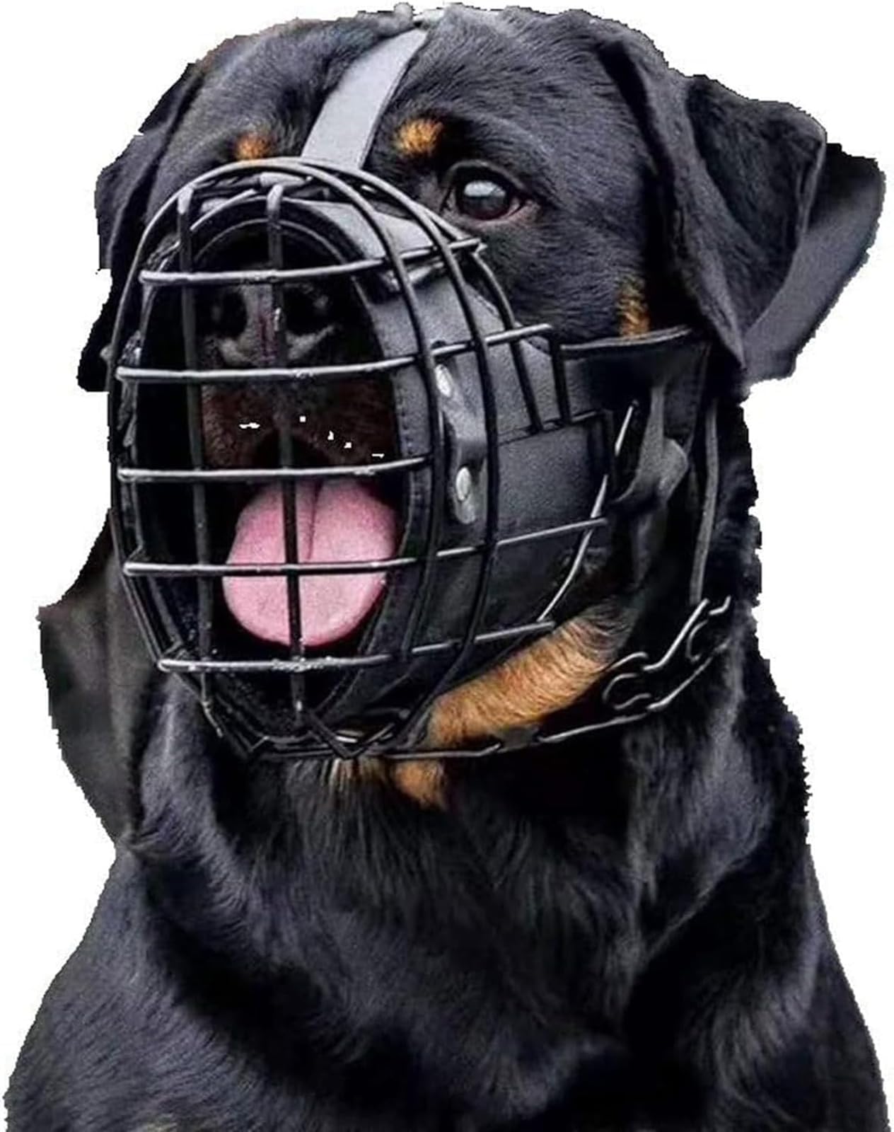 Bozales para Perros, Bozal Ajustable de Metal y Cuero for Pastor alemán, dóberman, Rottweiler Otros medianos Grandes(L)