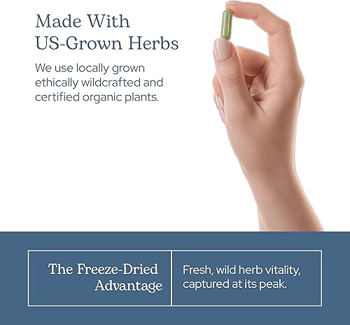 Miniatura 7 de Eclectic Institute Rosemary Cog Fd 90