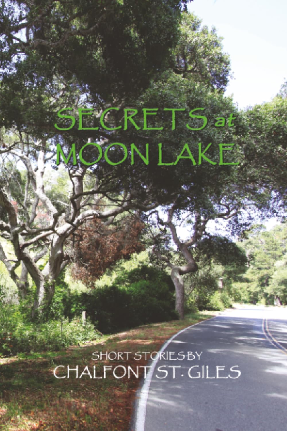 Secrets at Moon Lake and Other Short Stories