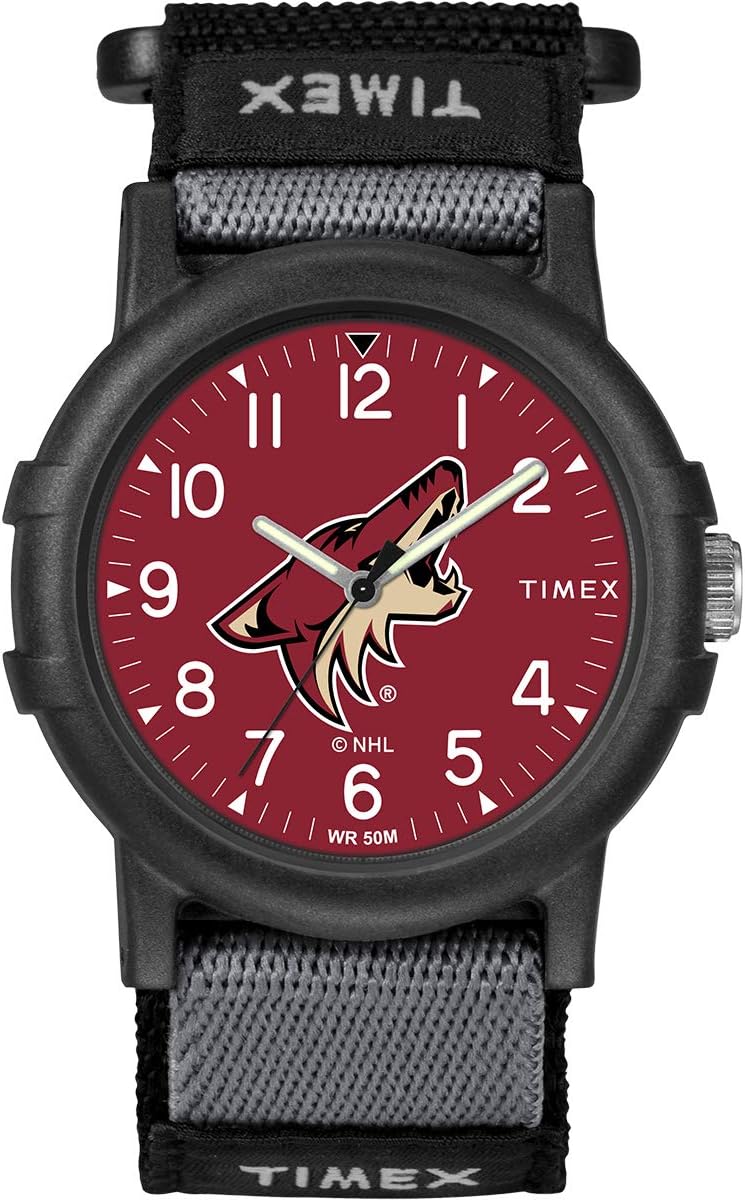 Arizona Coyotes