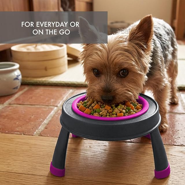 Foto 4 de 7 de Dexas Pets - Comedero Elevado Individual para Mascotas/Cuenco para Mascotas, Capacidad de I.5 Tazas, Fucsia…