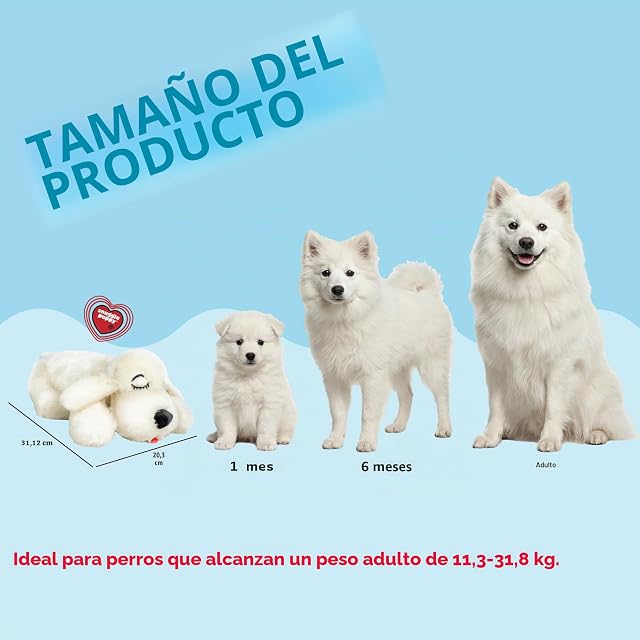 Foto 3 de 8 de SmartPetLove Cachorro para acurrucarse - Juguete de Ayuda de Comportamiento, Dorado