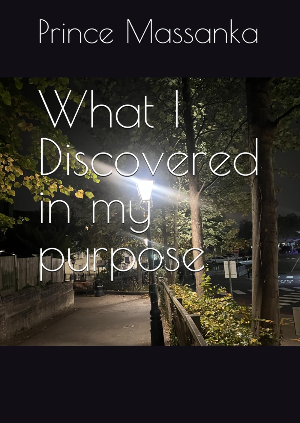 What I Discovered in my purpose