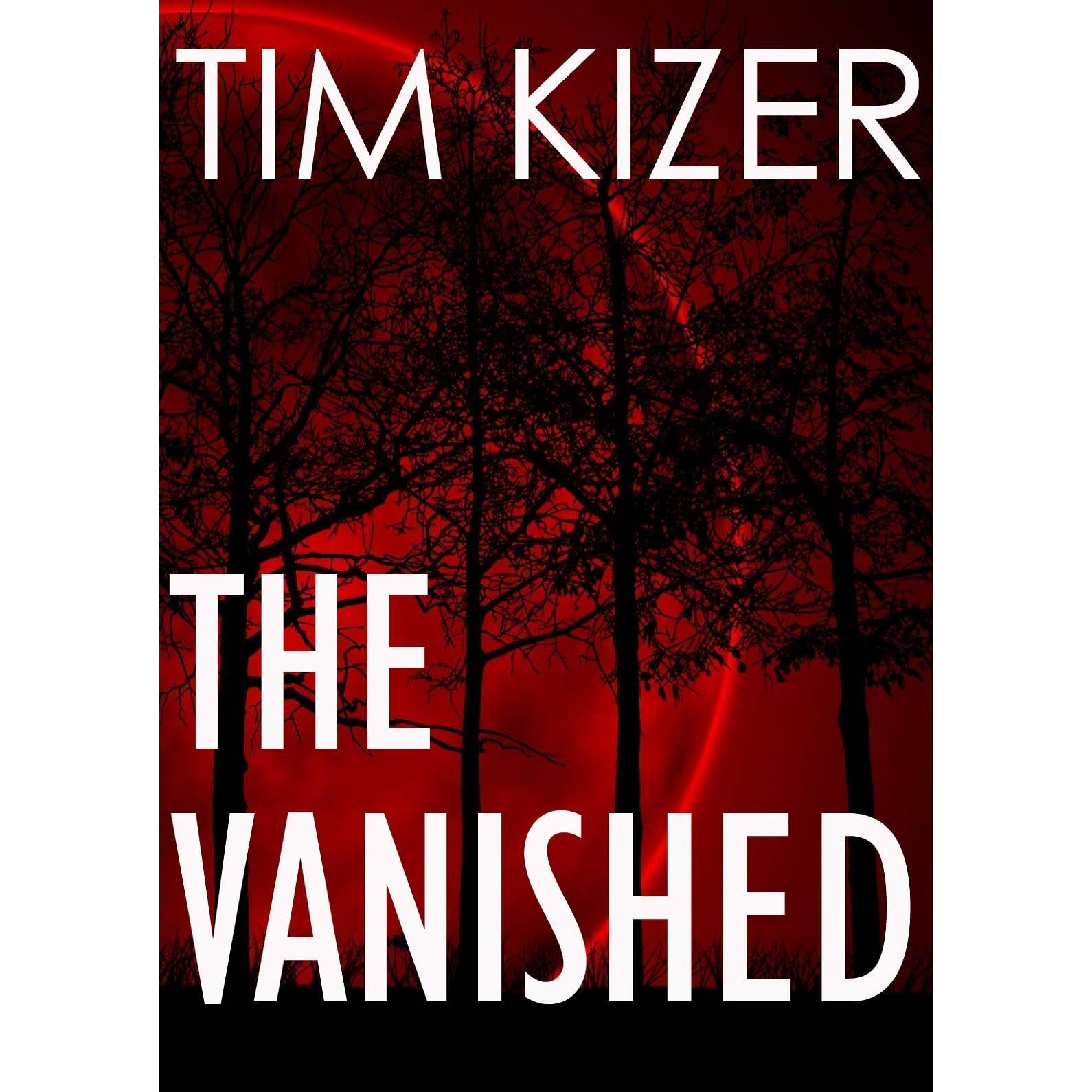 The Vanished: A chilling psychological thriller with a brilliant twist