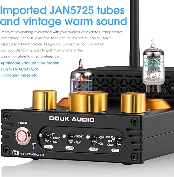 HiFi Bluetooth 5.0 Vacuum Tube Amplifier + Matched GE JAN 5654W Tubes Bundle | 320W Phono Amp for Turntables w/Tube Upgrade | Audiophile Sound Enhancement