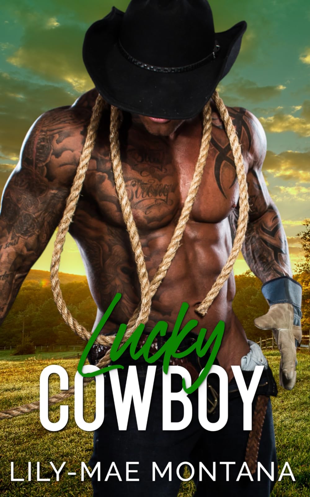Lucky Cowboy: A Steamy Grumpy Frenemies Curvy Western Romance (Rocky Ridge Creek)