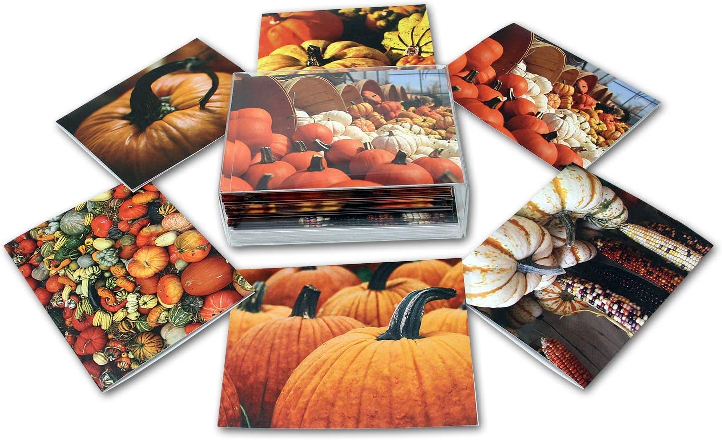 Blanko Herbst-Grußkarten Mit Kürbis-Motiven - 24 Stück, 6 Designs, 14x10,8 Cm, Inkl. Umschläge