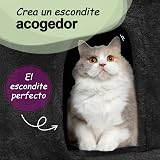 Ver la foto 5