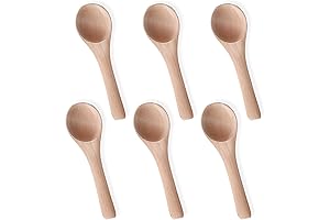 6pcs Mini Spoons for Spice Jars