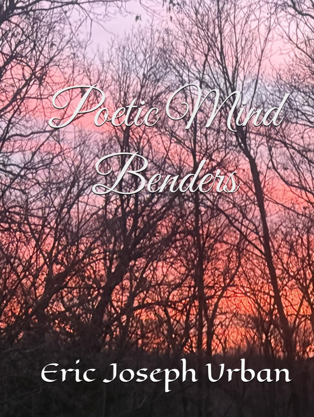 Poetic Mind Benders
