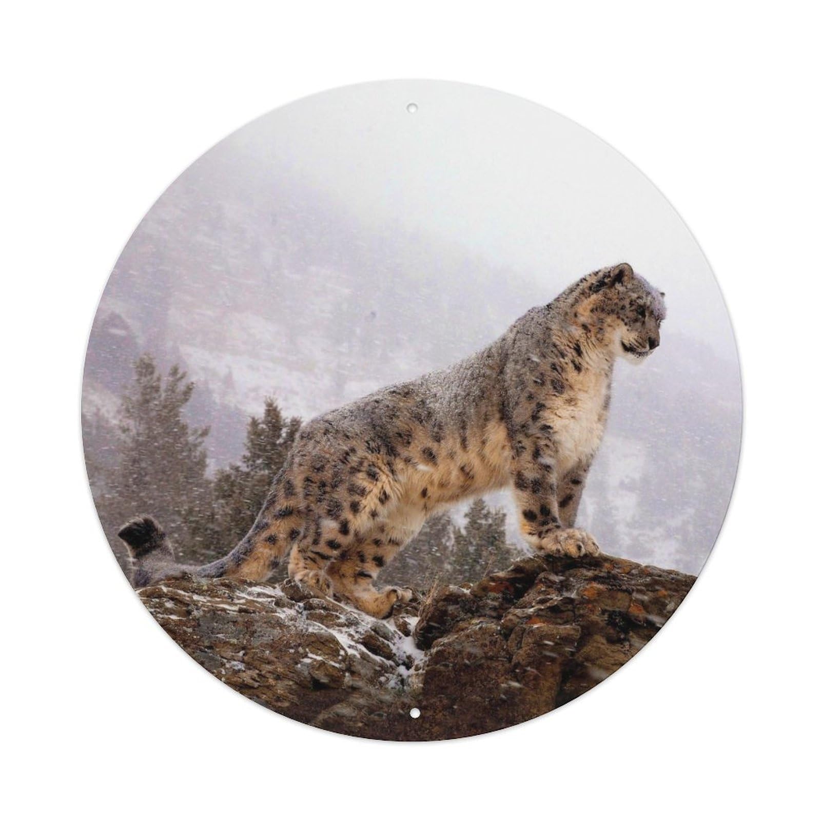 Snow Leopard Rocky Mountain Wildlife Portrait Metal Tin Sign