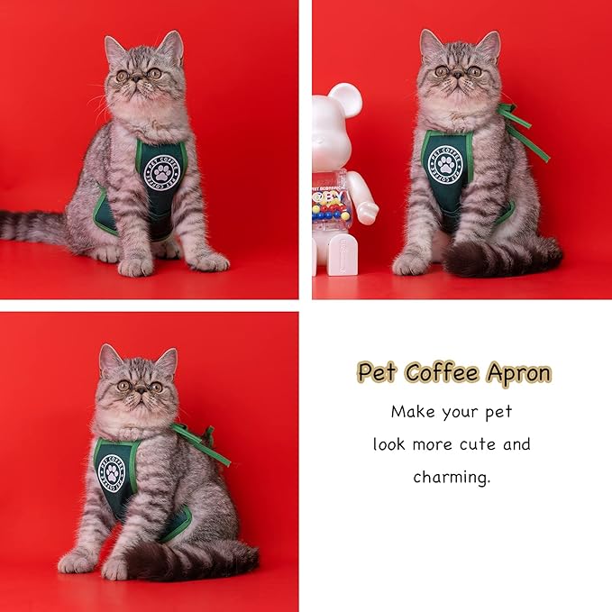 Disfraz de Halloween para perros pequeños y gatos - Petbucks miniatura 5