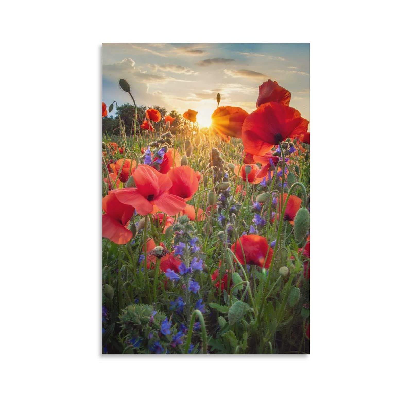 Photo 1 of 10 PCS RANDOM/HOME BUNDLE