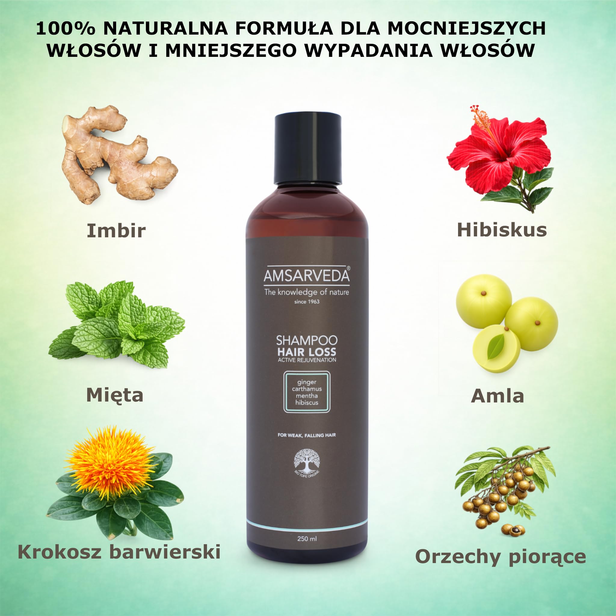 Amsarveda Hair Loss Active Rejuvenation Shampoo- 100% Naturalny, Ajurwedyjski, Głębokie Oczyszczanie, Odżywianie, Bez Parabenów i Sulphate 250ml