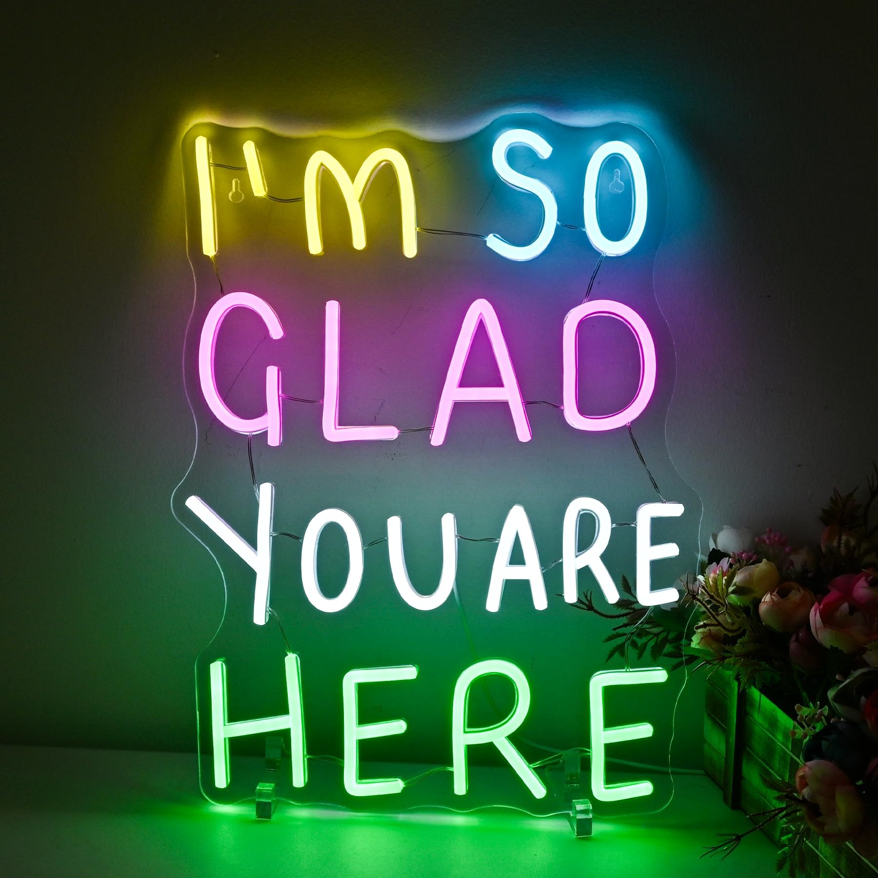 I'm So Glad You are Here Neon Sign,Dimmable LED Neon Light for Wall Decor,for Bar Coffee Room Home Art Wall Decor​ Birthday Wedding Party Window Living Room Decor