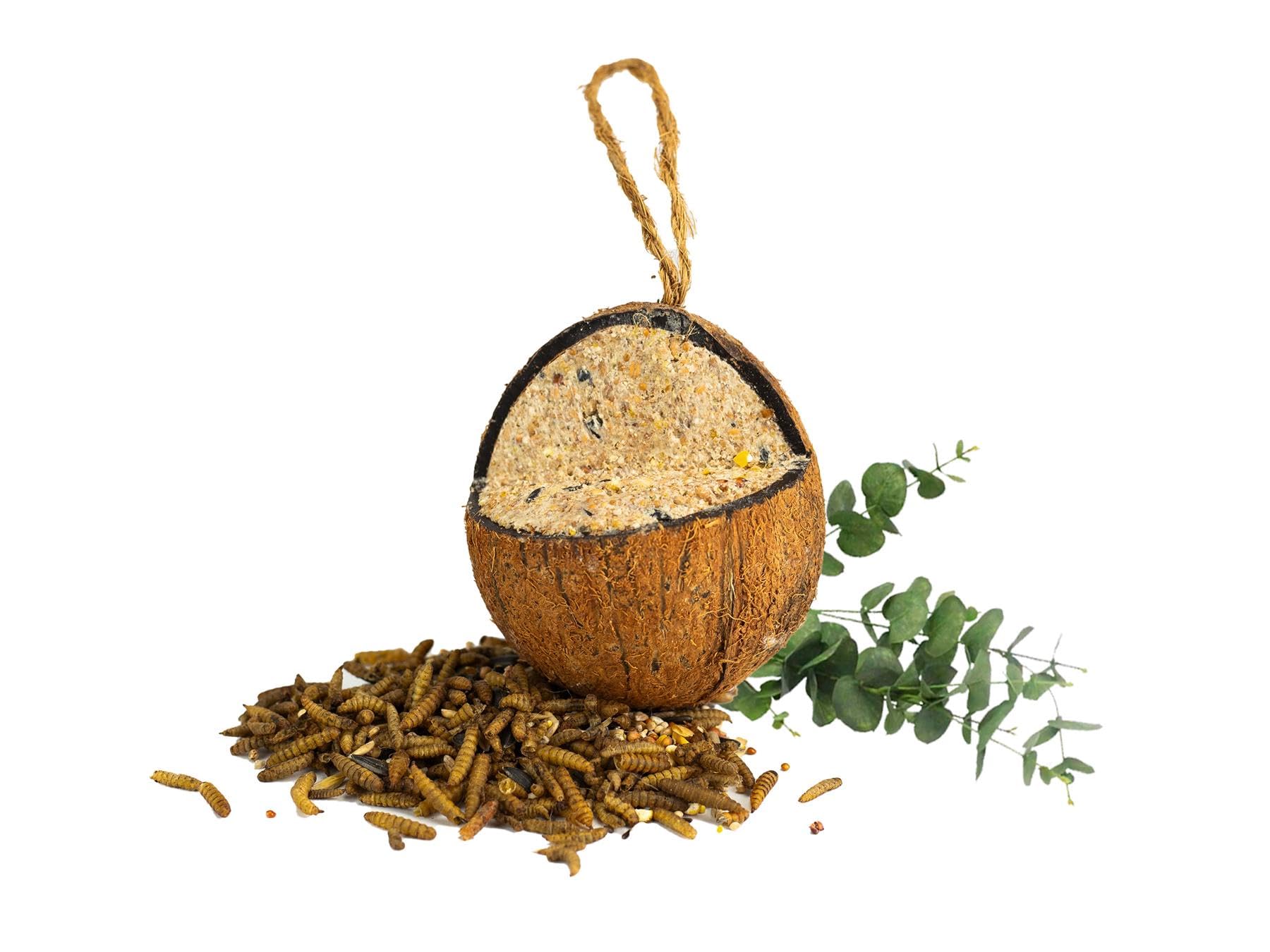 Chubby Quarter Cut Filled Coconut, Coconuts Halve Wild Bird Feed with Insect oil, Coconut Shell Suet Birds Food, Protein Rich Suet for Blackbirds, Woodpeckers, Starlings & Sparrows โ image 1