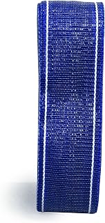 Thermwell Prods. Co. PW39B 39' Webbing- Blue