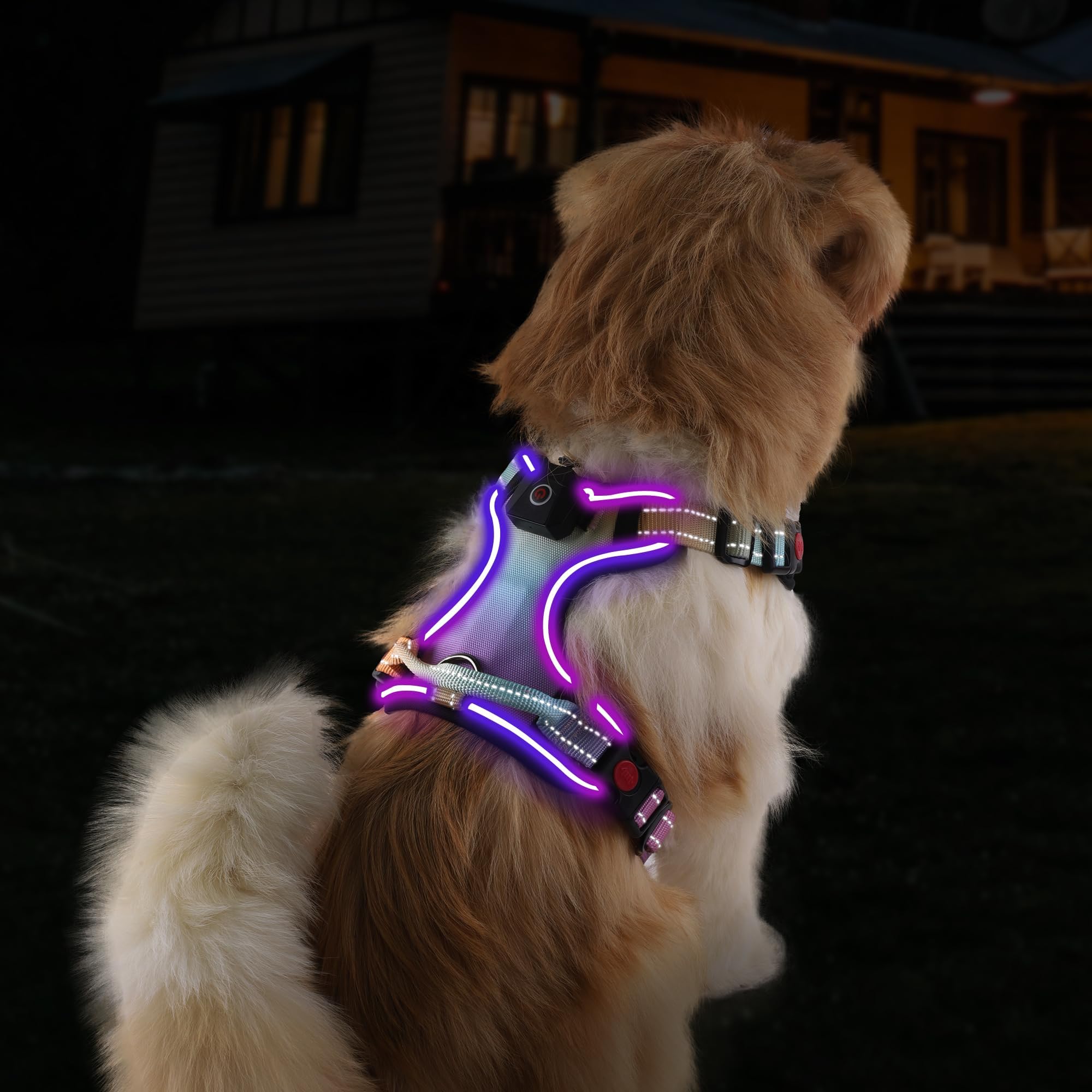 LED Dog Harness for Large Dog, Lighted Up Dog Harness, No