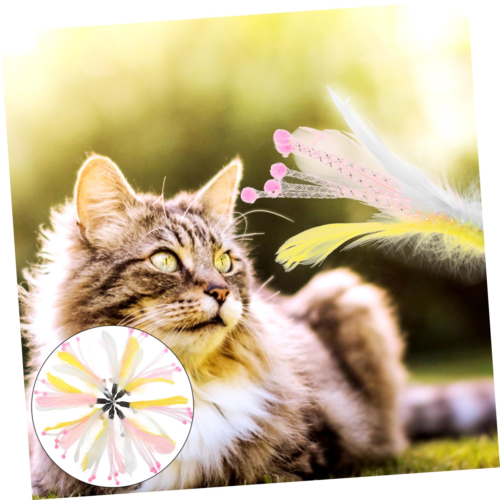 VANZACK 40pièces à Plumes pour Chats Set De Jouets Interactifs avec Remplacements pour Amusement Et Exercice De Votre Félin