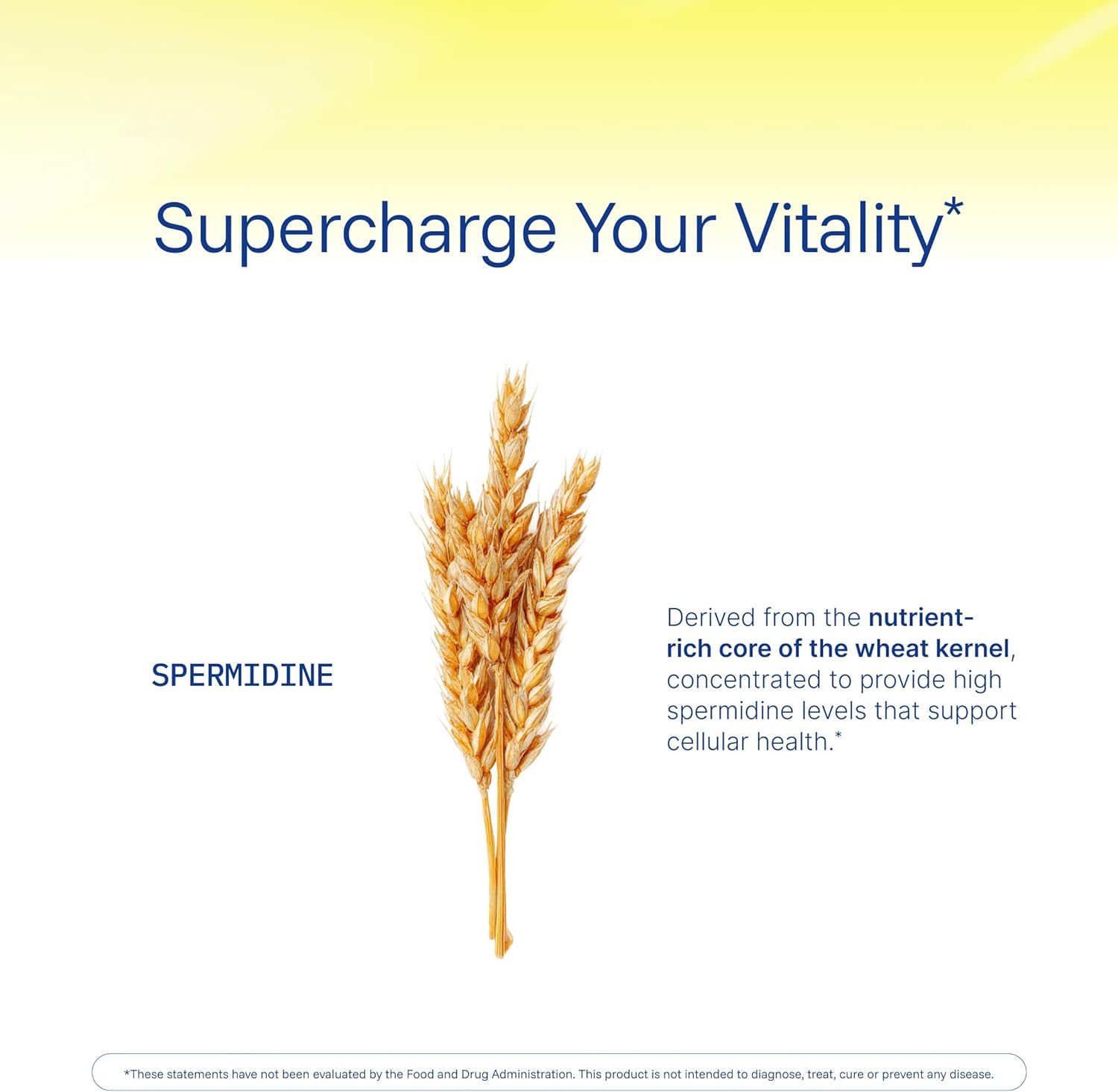 ProHealth Pure Spermidine 1 mg | 180 Capsules | Plant-Based Wheat Germ Extract for Cellular Renewal & Autophagy Support | Non-GMO, Triple Lab-Tested, GMP-Certified - Image 5