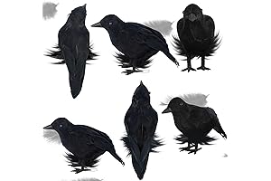 ATDAWN Halloween Birds, Black Feathered Crow