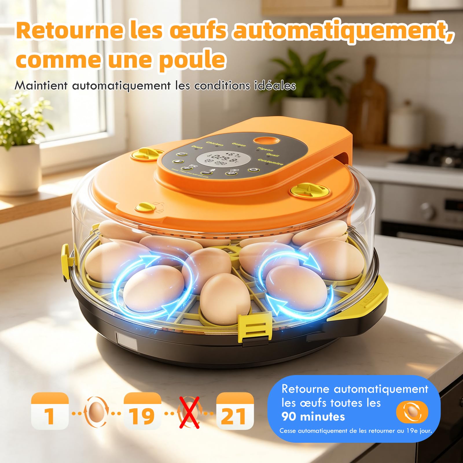 Couveuse Automatique 15 Œufs, Incubateur d’Œufs avec 5 Modes, Retournement Automatique, Contrôle Température et Humidité, Mire-Œufs Intégré pour Poule, Caille, Canard