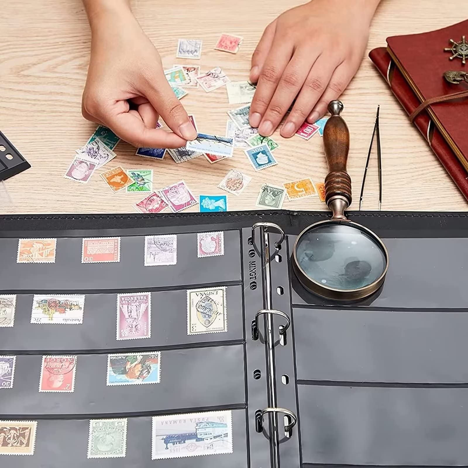 10 hojas de páginas de sellos, página de álbum de sellos de coleccionista de 6 filas para carpeta de álbum de sellos con fundas de carpeta estándar de 9 agujeros para coleccionistas de sellos