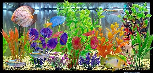 Miniatura 5 de DEMONTALK Decoraciones de acuario, roca de cueva y plantas de plástico para peceras artificiales, Goldfish Betta Fish Tank Accesorios Decoraciones