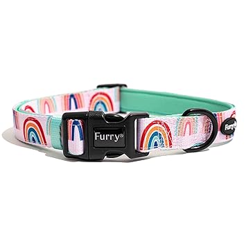 FURRY & CO Premium Dog Collar - Adjustable Heavy Duty Collar with Quick-Release Buckle, Lined with Neoprene (Small)